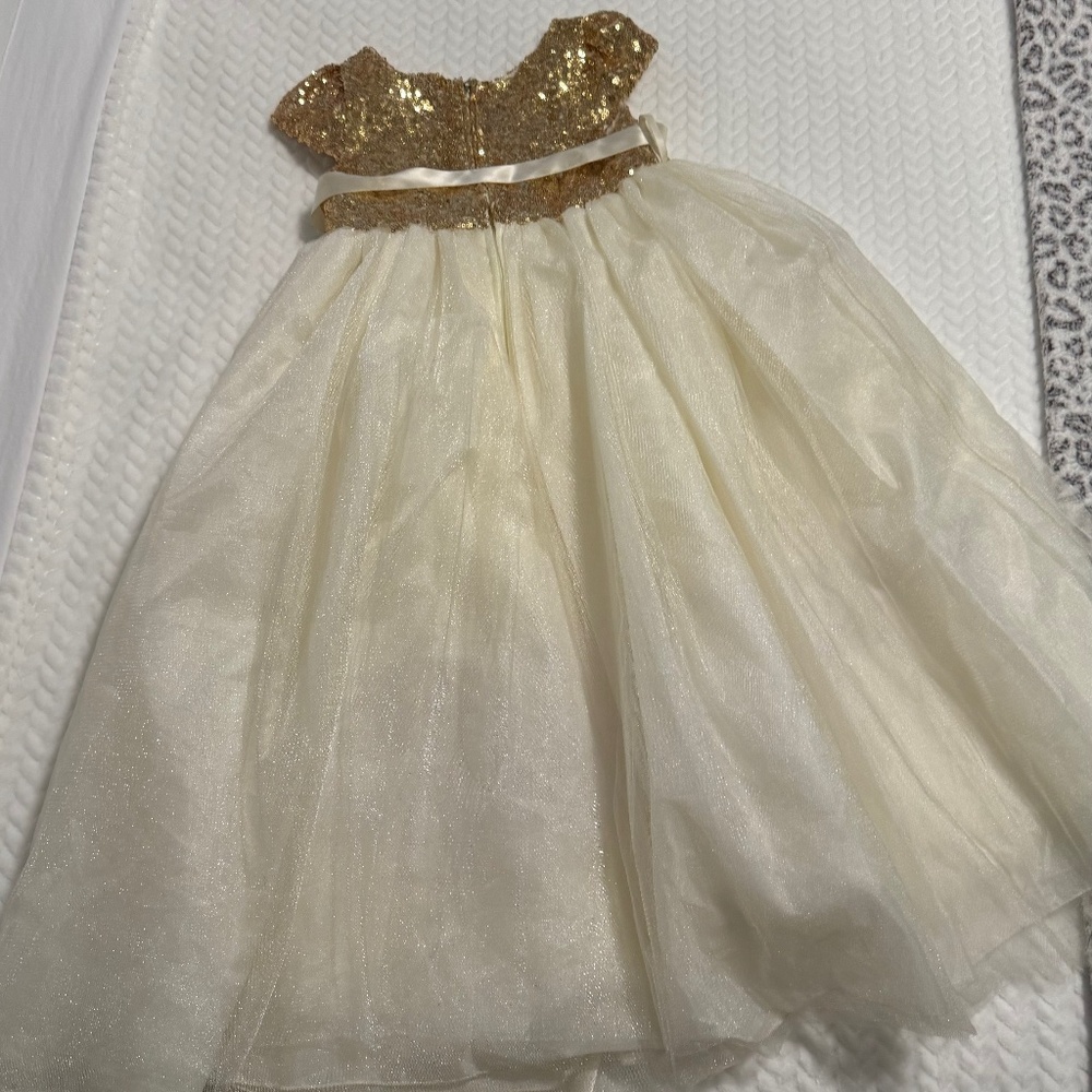 Youth girls fancy dress